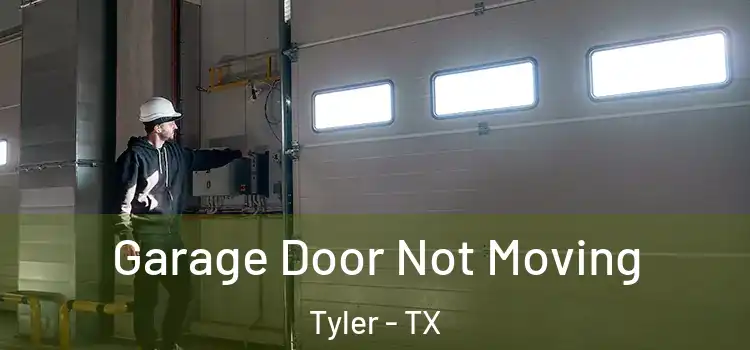  Garage Door Not Moving Tyler - TX