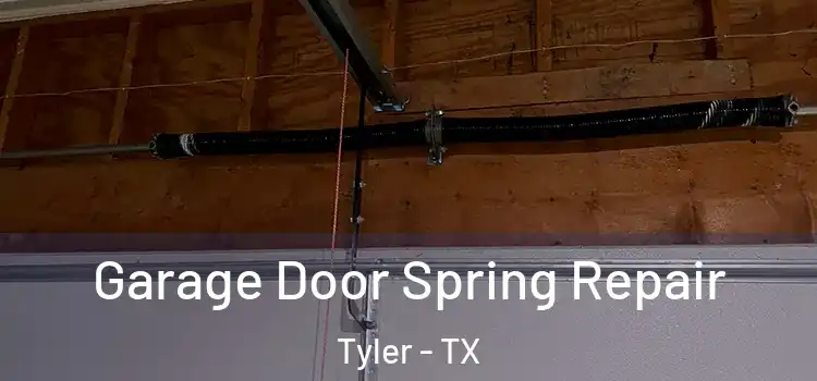  Garage Door Spring Repair Tyler - TX