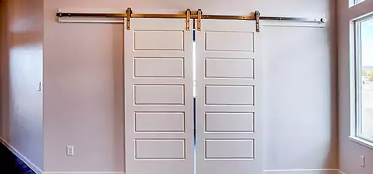 Glass Barn Door with Installation Hardware Kit Tyler