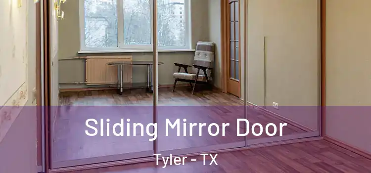  Sliding Mirror Door Tyler - TX